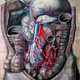 Illustration for article titled Who knew an illustration of an abdominal cavity could be so beautiful?